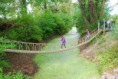 /album/donau-auen-23-9-2014/danau-auent054-jpg/